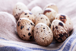 raw quail eggs quail eggs on a table