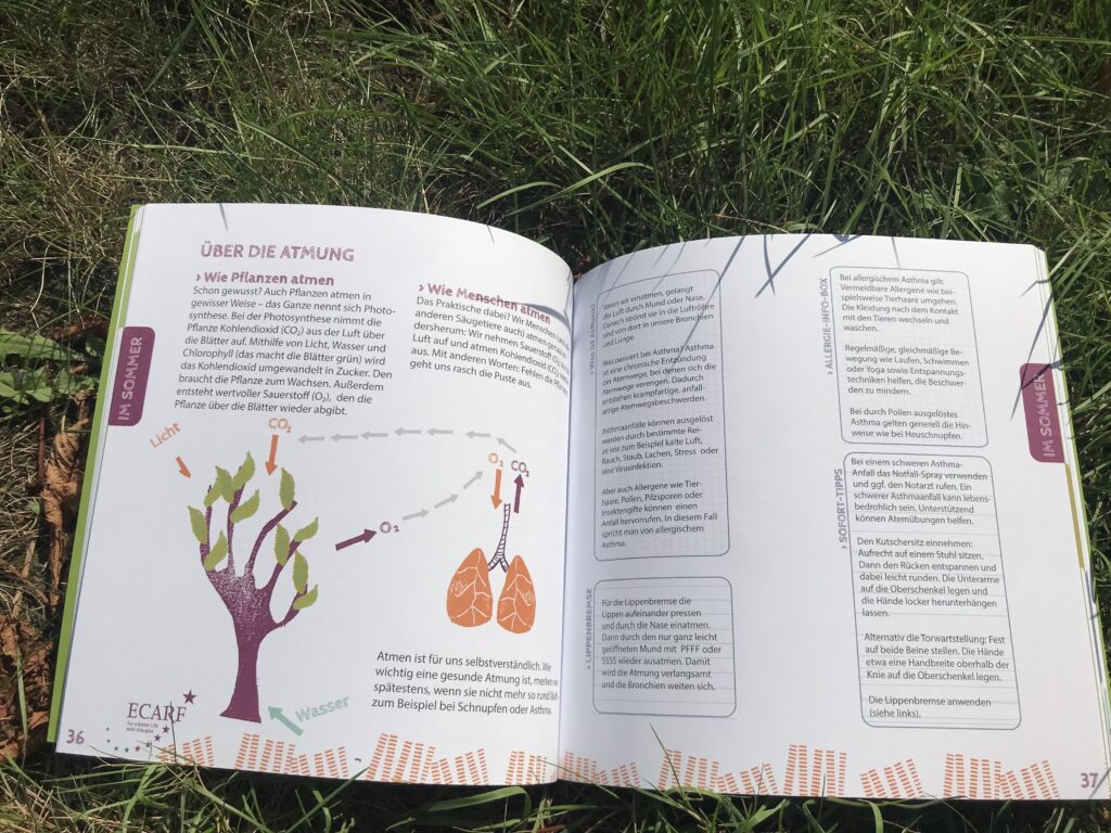 Forscherbuch aufgeschlagen auf Wiese