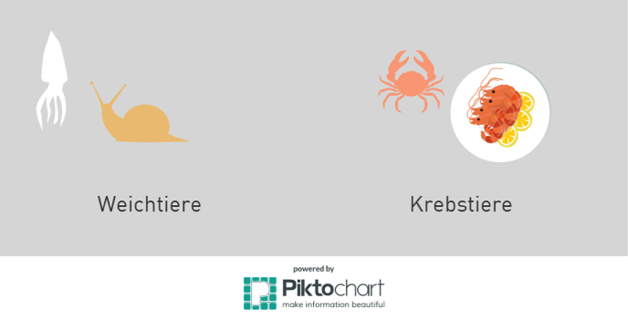 Weichtiere und Krebse